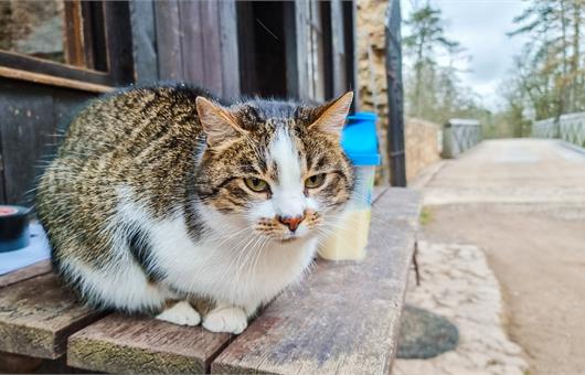 Princezna zakletá v čase - Točník a Třeboň