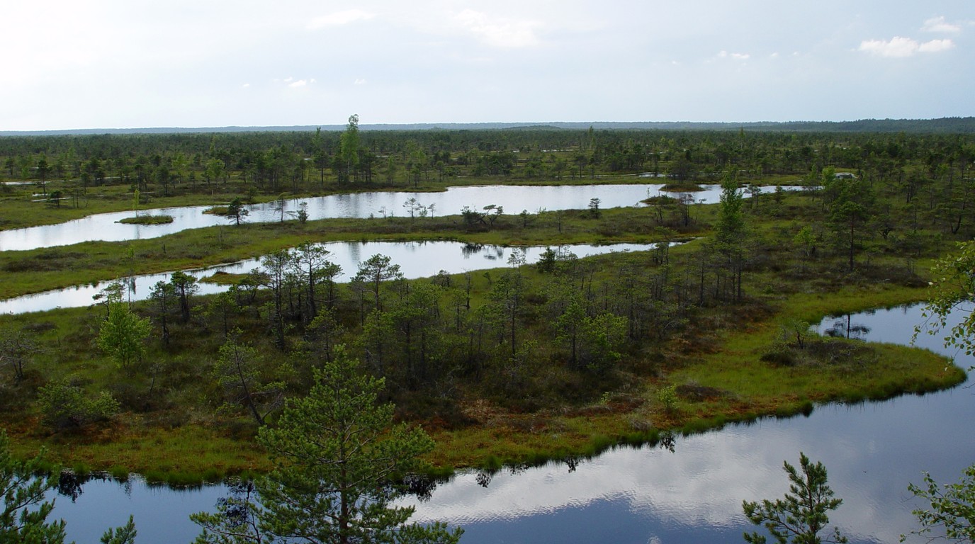 Riga, Rundāle and Ķemeri National Park