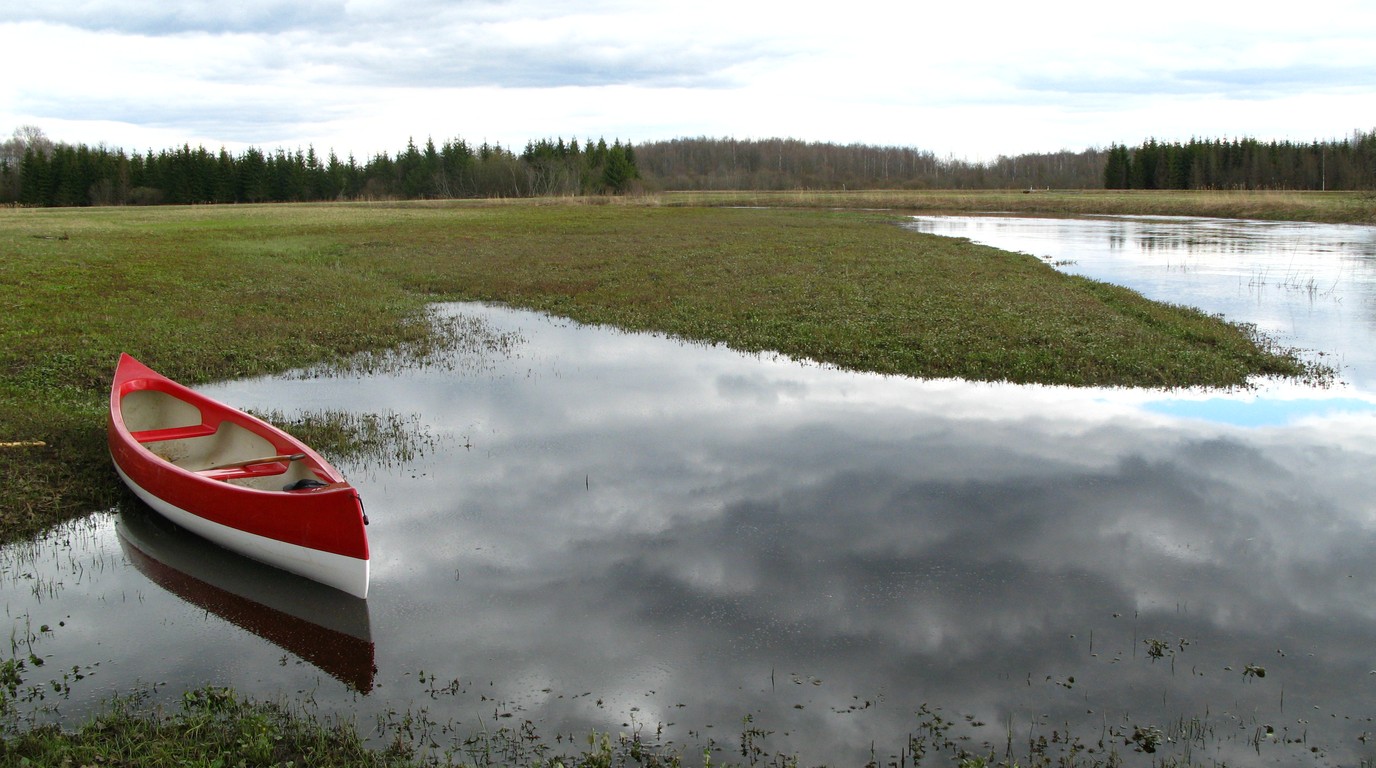 Soomaa National Park