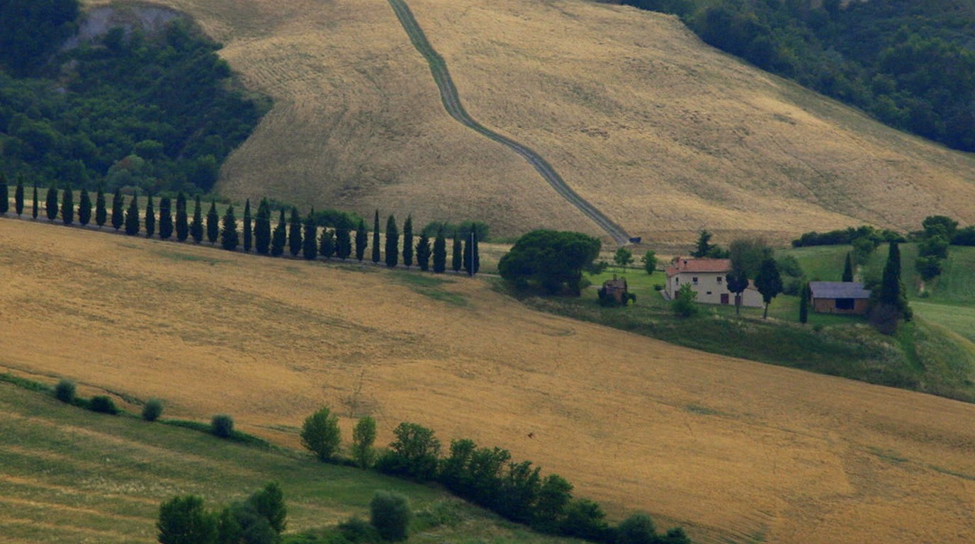 The rolling Val d'Orcia landscape in Tuscany with an avenue of cypresses and a stone farmhouse