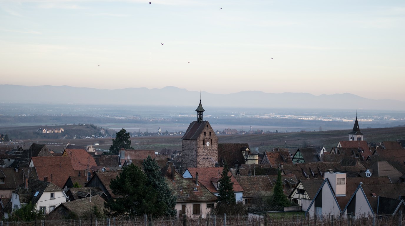 Half-timbered houses and vineyards on the Alsace Wine Route below the wooded Vosges ridge
