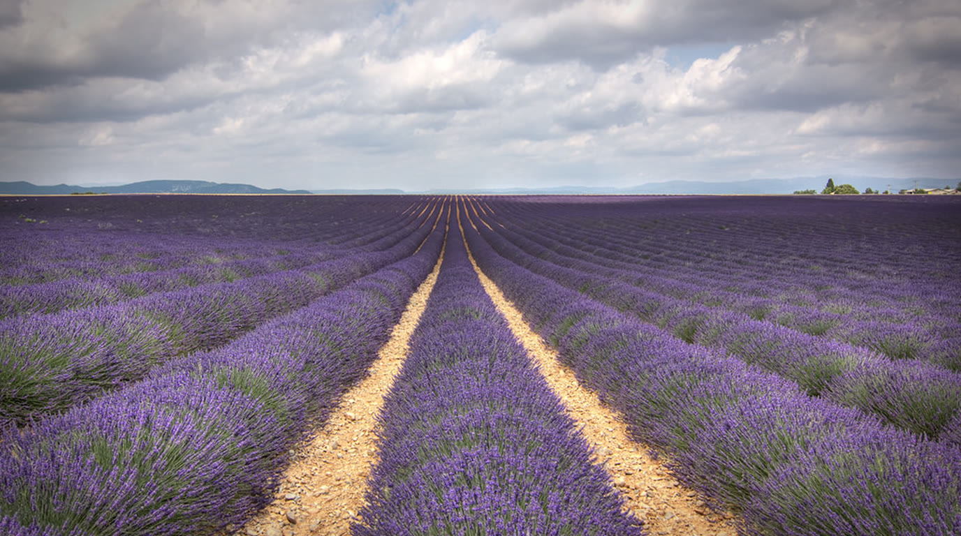 Provence a kaňon Verdon — tip na výlet obytným vozem